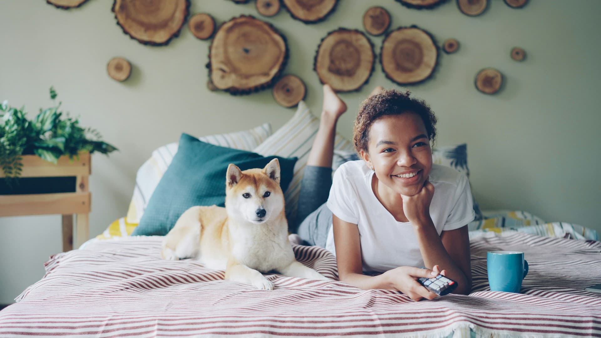 6 Ways to Thrive with a Pet Living in a Small Space